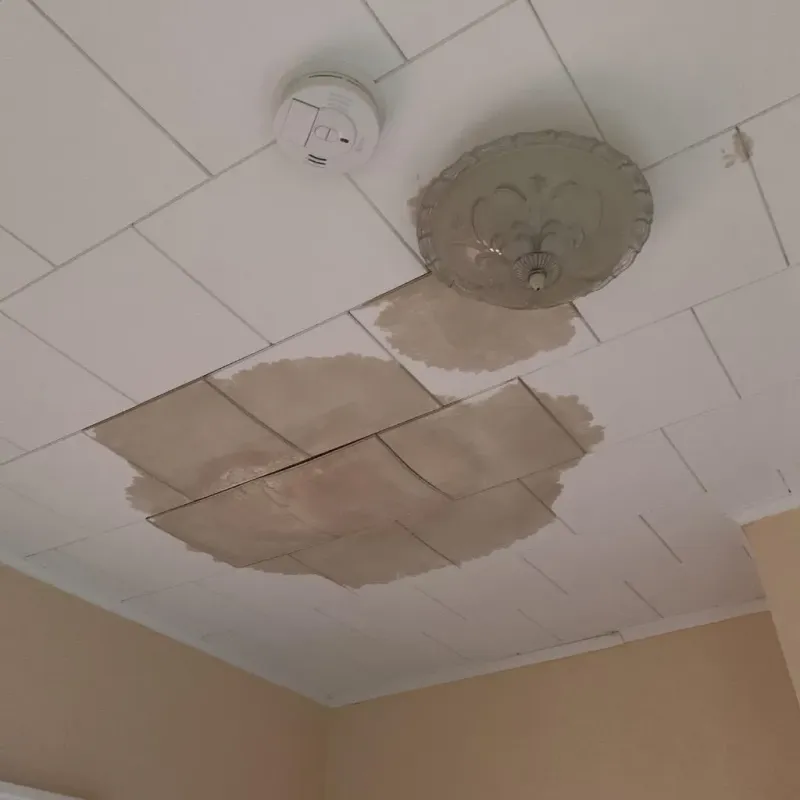 Ceiling Water Damage Repair in Big Lake, TX