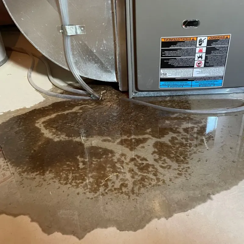 Pipe Burst and Leak Restoration in Big Lake, TX