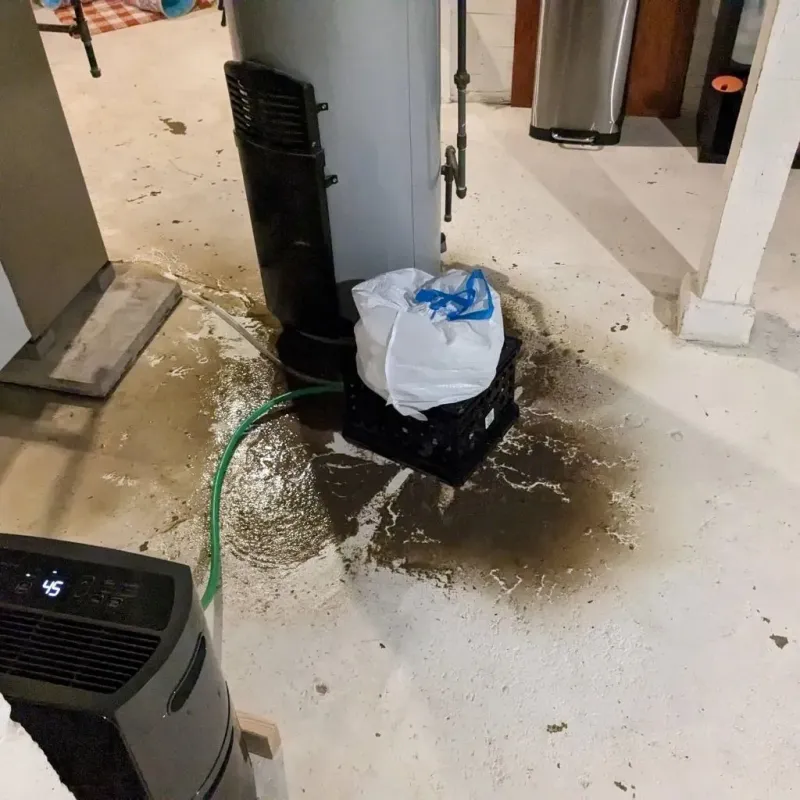 Sewage Backup Cleanup Service in Big Lake, TX